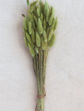 Load image into Gallery viewer, Natural Bunny Tail Stems / Sage
