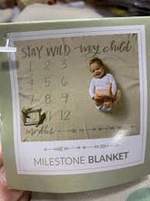 Load image into Gallery viewer, Milestone Baby/Pet Blankets
