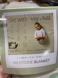 Milestone Baby/Pet Blankets